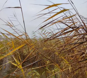 Картинка тура