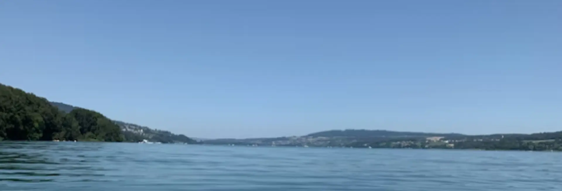 Поле с одуванчиками