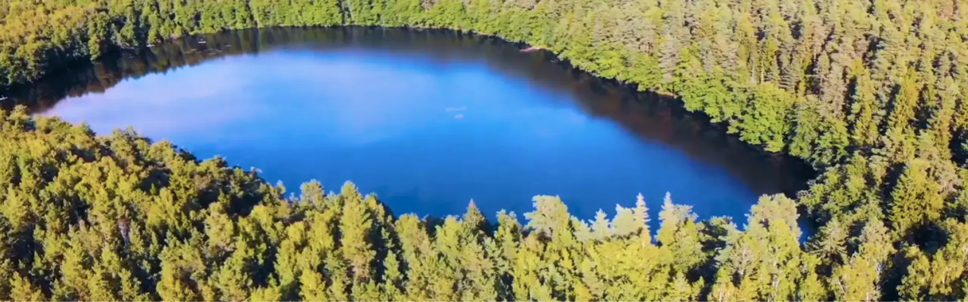 Lake with forest